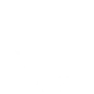 DataMate Logo